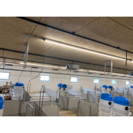 MODULAR-LIGHT 36W/3000mm 4000K - P&P3 - IP69K TRIAC Dæmpbar - Flickerfree