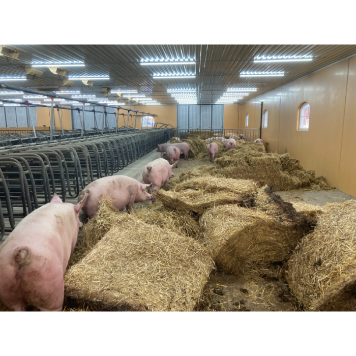 MODULAR-LIGHT 18W/1200mm 4000K - P&P3 - IP69K Triac Dæmpbar - Flickerfree