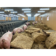 MODULAR-LIGHT 18W/1200mm 4000K - P&P3 - IP69K Triac Dæmpbar - Flickerfree