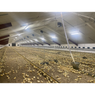 VIKING ARMATUR 50-62W/1500mm 3000K 0-10V Dimbart LED - IP66 Genomtrådad