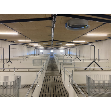 FARM-LIGHT 36W/1500mm 4000K - P&P3 - IP69K Triac Regulable - Sin Parpadeos - 190°