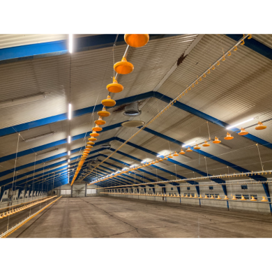 FARM-LIGHT 36W/1500mm 4000K - P&P3 - IP69K Triac Regulable - Sin Parpadeos