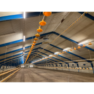 FARM-LIGHT 36W/1500mm 6000K - P&P3 - IP69K Triac Dimbar - Flickerfree - 190°