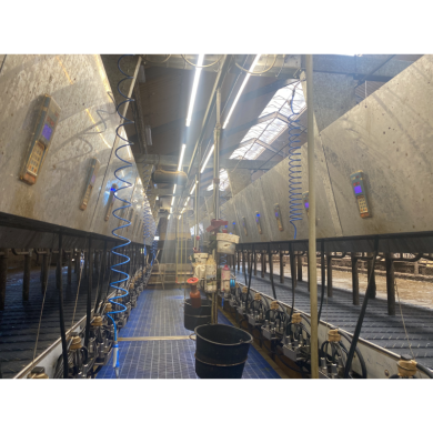 FARM-LIGHT 36W/1500mm 6000K - P&P3 - IP69K Triac Dimmbar - Flackerfrei - 190°