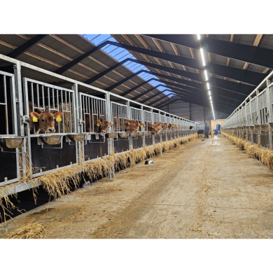 MODULAR-LIGHT 72W/3000mm 4000K - P&P3 - IP69K Triac Dimmbar - Flackerfrei