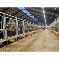 MODULAR-LIGHT 72W/3000mm 4000K - P&P3 - IP69K Triac Dimmbar - Flackerfrei