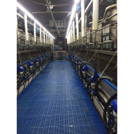 MODULAR-LIGHT 72W/3000mm 4000K - P&P3 - IP69K Triac Dimmbar - Flackerfrei