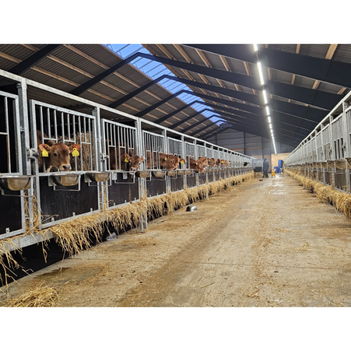 MODULAR-LIGHT 36W/1500mm 4000K - P&P3 - IP69K Triac Dæmpbar - Flickerfree