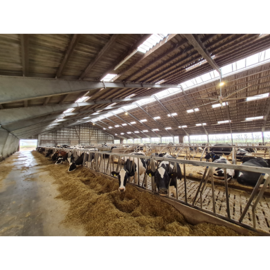 HAWKEYE 1 UFO LED 200W 5000K, 30.000lm, Dæmpbar - IP65