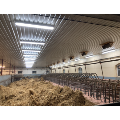 VIKING ARMATUR 50-62W/1500mm 4000K 0-10V Dimbar LED - IP66 Genomtrådad