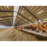 VIKING ARMATUR 25-40W/1200mm 4000K 0-10V Dimbart LED - IP66 Genomtrådad