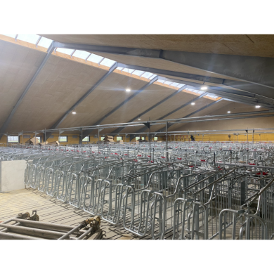 STEALTH P&P5 LED HIGH BAY 200W 4000/5000/5700K - IP69K