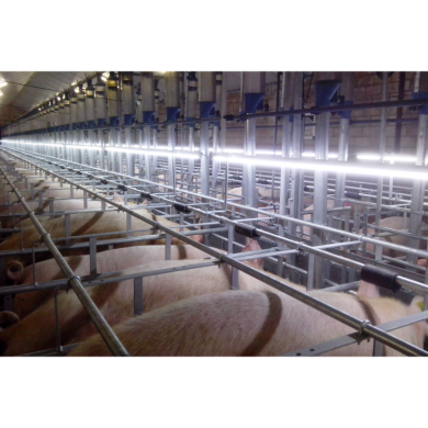 RNS Fertility-Light complete - Farm-Light 25W/6000K - Per meter