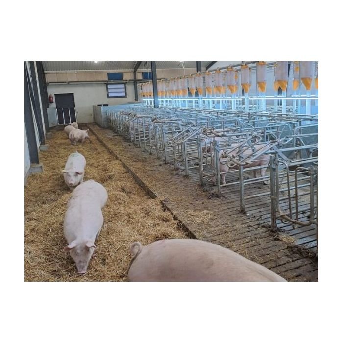 RNS Fertility-Light complete - Farm-Light 25W/6000K - Per meter