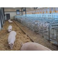 RNS Fertility-Light complete - Farm-Light 25W/6000K - Per meter