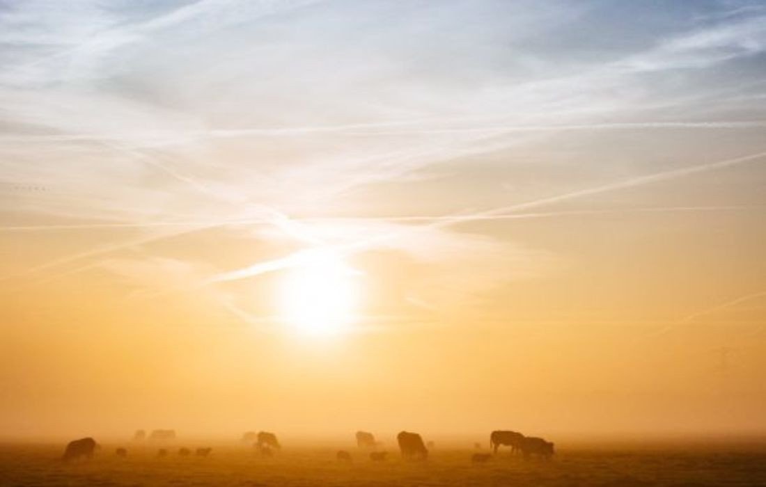 Derfor er det vigtigt at tænde for lyset i stalden – også når solen skinner
