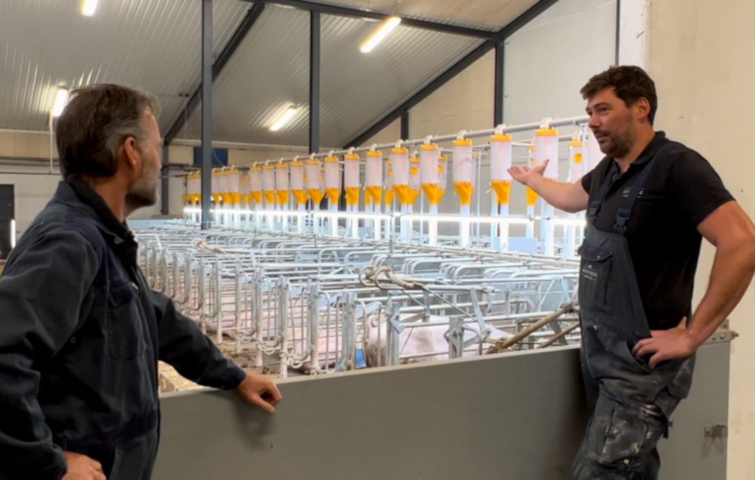 Grisene skal tro, det altid er sommer